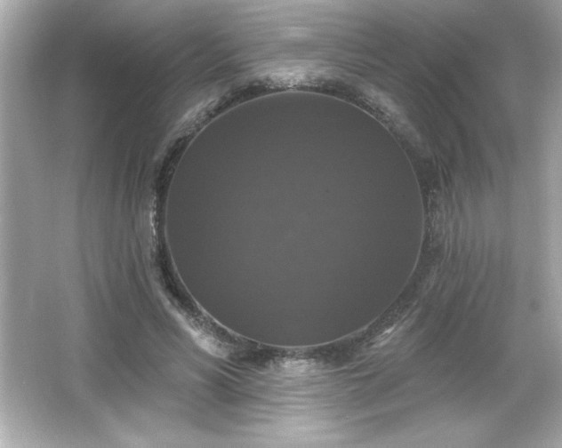 X0000066490590200603201259