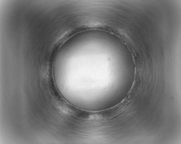 X0000066490591200603201259