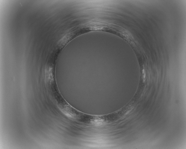 X0000066490598200603201259
