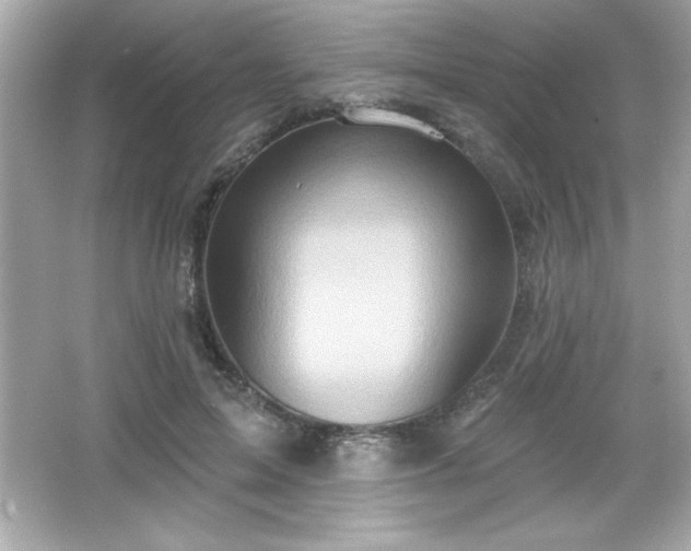 X0000066490599200603201259