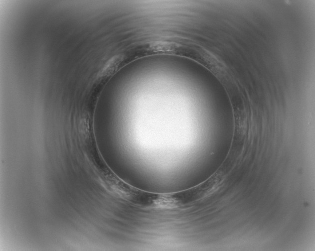 X0000066490603200603201259
