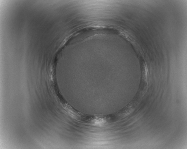 X0000066490604200603201259