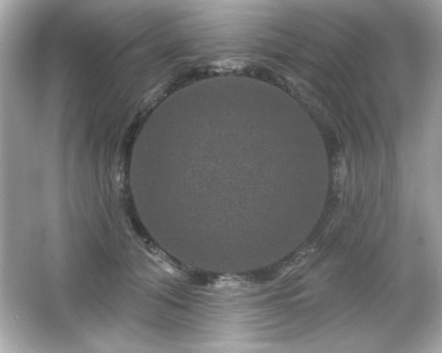 X0000066490608200603201259