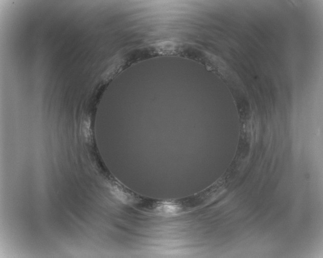 X0000066490610200603201259