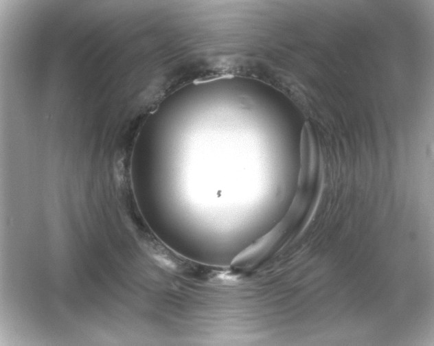 X0000066490611200603201259