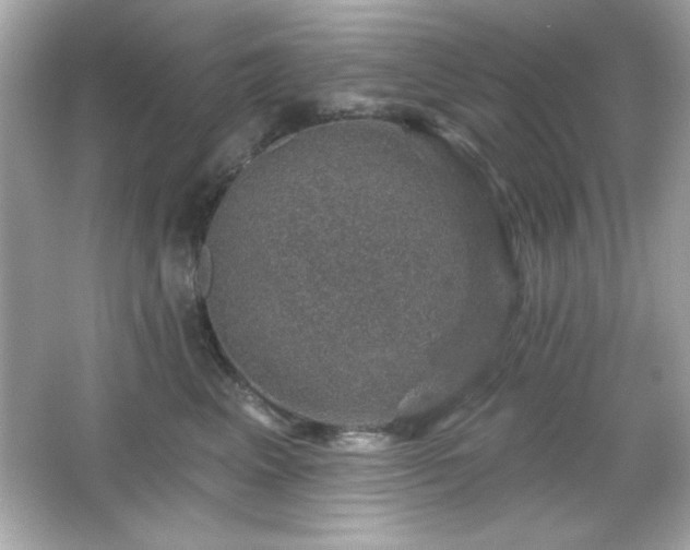 X0000066490617200603201259