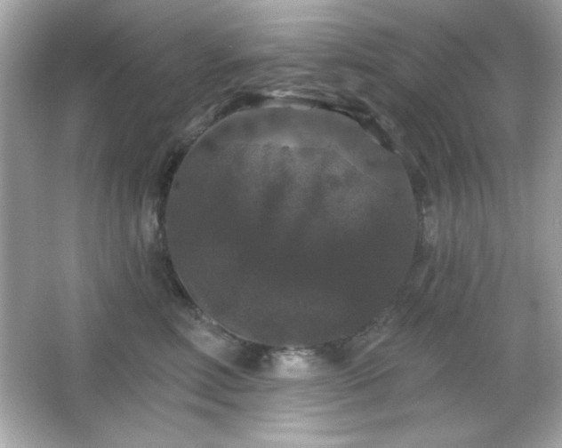 X0000066490618200603201258