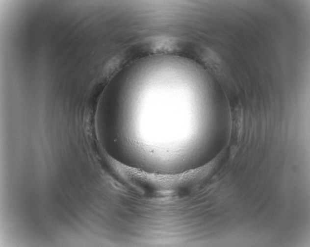 X0000066490619200603201258