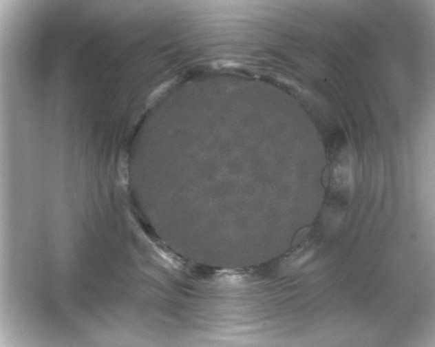 X0000066490620200603201258