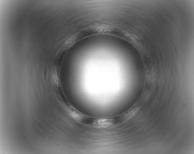 X0000066490622200603201258