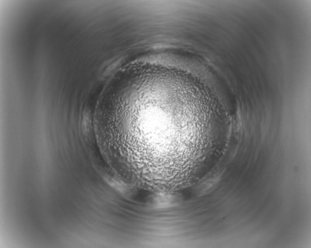 X0000066490623200603201258
