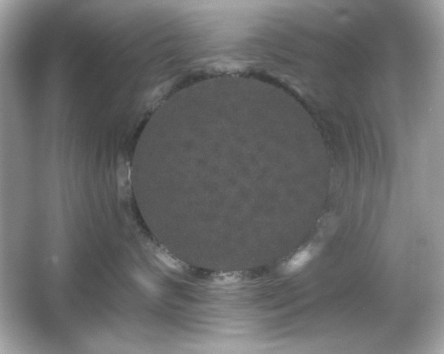 X0000066490624200603201258