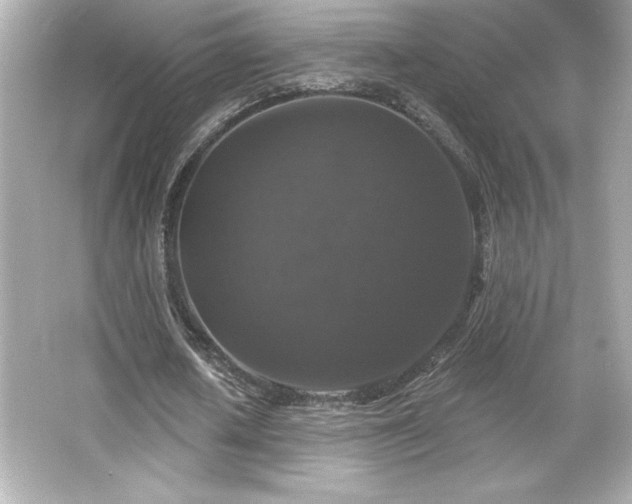X0000066490626200603201258