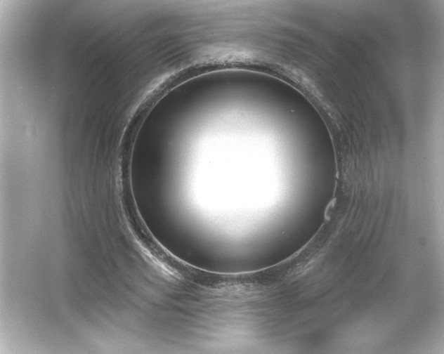 X0000066490629200603201258