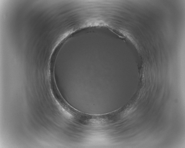 X0000066490630200603201258