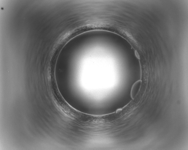 X0000066490631200603201258