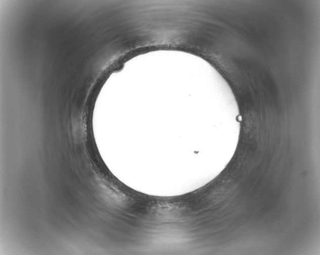 X0000066490632200603201258
