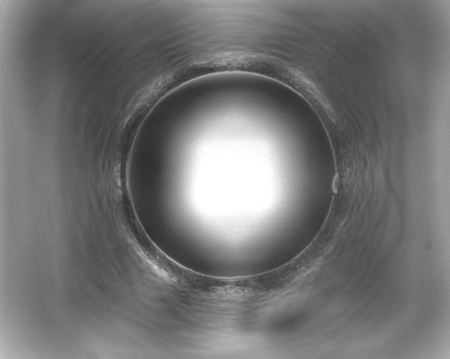 X0000066490633200603201258
