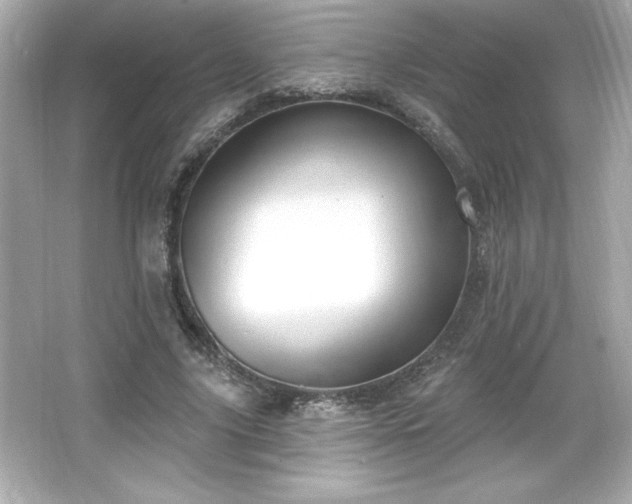 X0000066490635200603201258