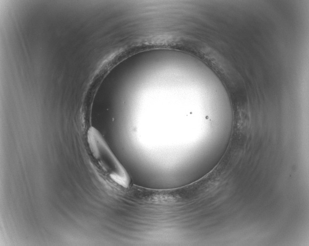 X0000066490636200603201258