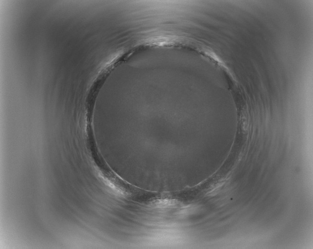 X0000066490637200603201258