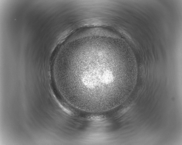 X0000066490638200603201258