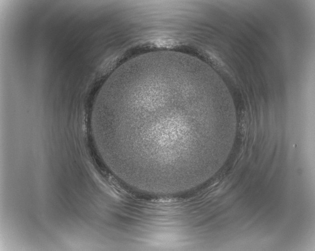 X0000066490639200603201258