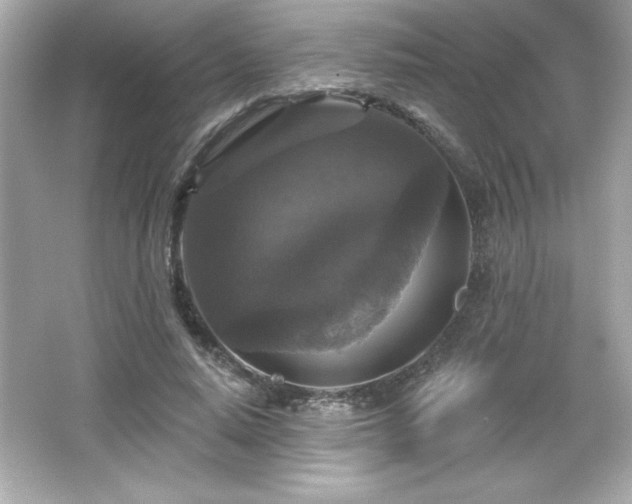 X0000066490640200603201258