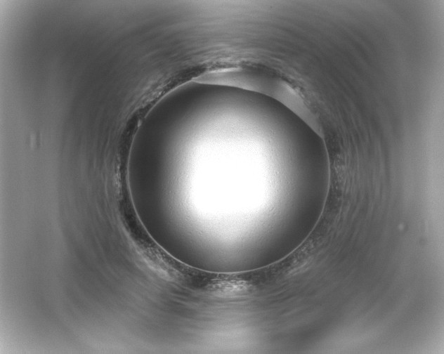 X0000066490642200603201258