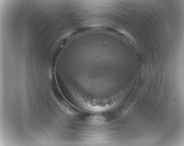 X0000066490644200603201258