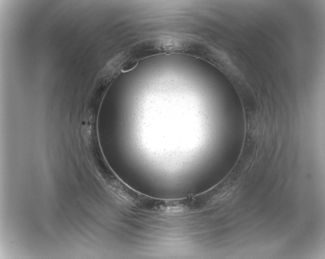 X0000066490645200603201258
