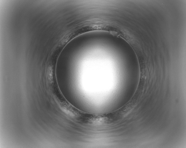 X0000066490646200603201258