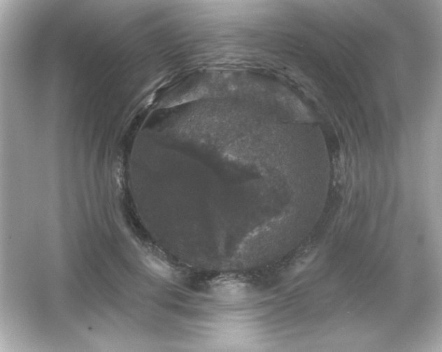 X0000066490648200603201258