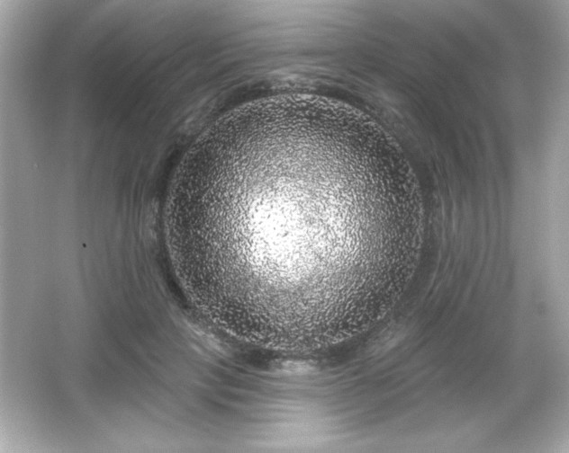 X0000066490649200603201258