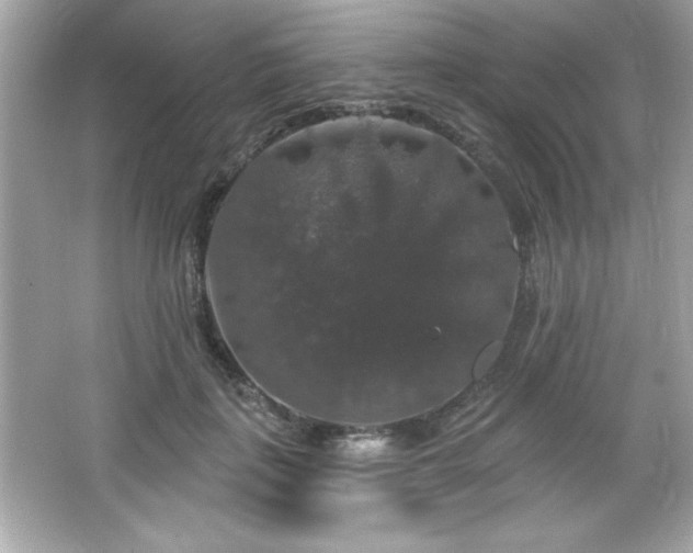 X0000066490651200603201258