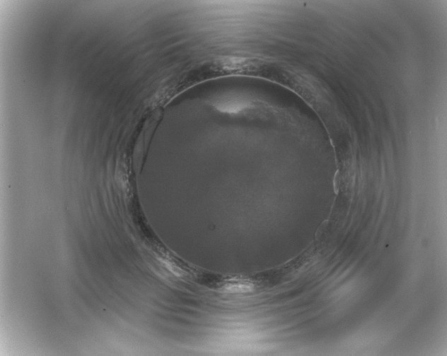 X0000066490653200603201258