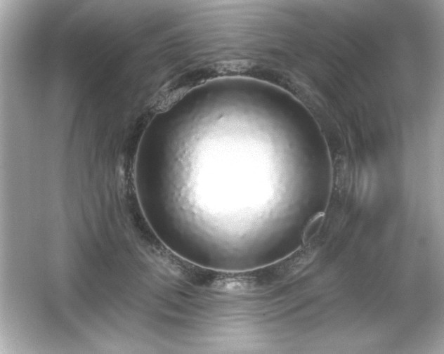 X0000066490655200603201258