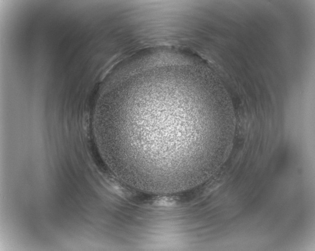 X0000066490656200603201258