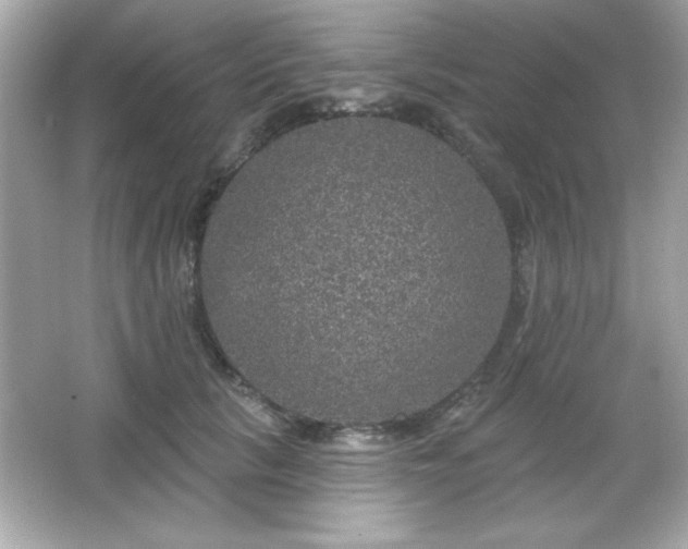 X0000066490657200603201258
