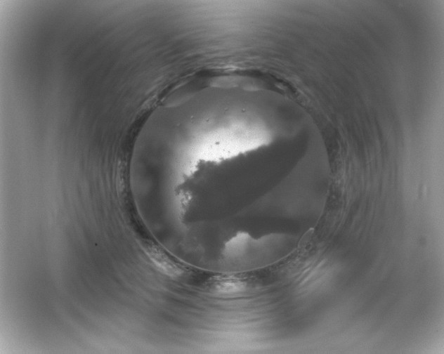 X0000066490658200603201258