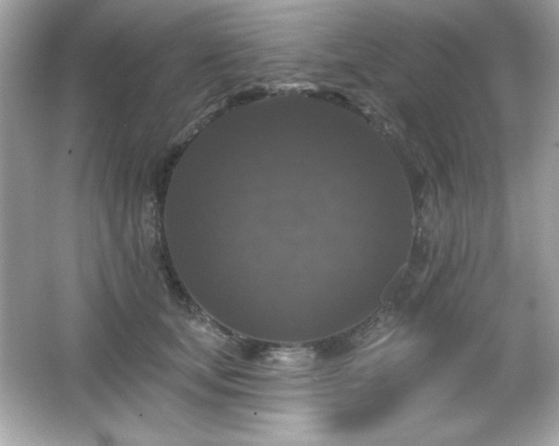 X0000066490659200603201258