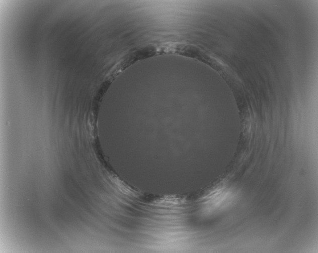 X0000066490661200603201258