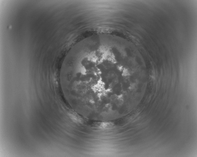 X0000066490663200603201258