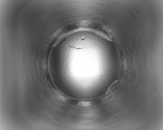 X0000066490665200603201258