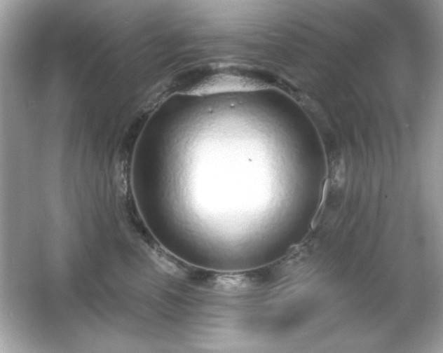 X0000066490666200603201258