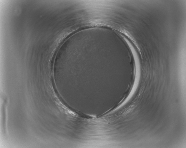 X0000066490673200603201258