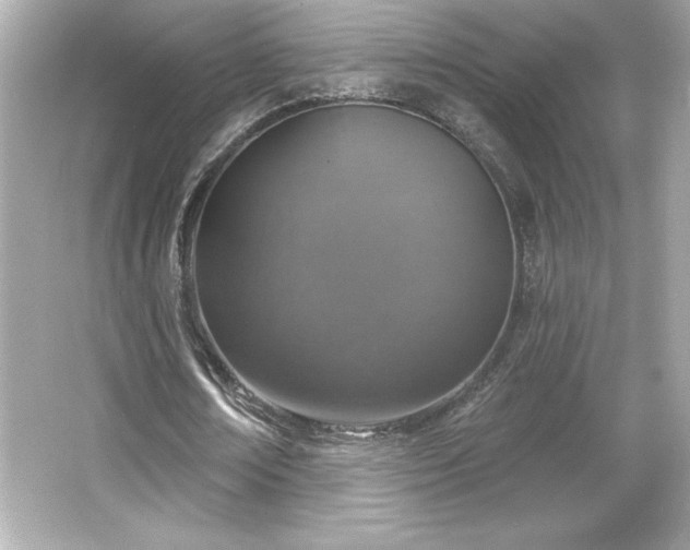 X0000066490674200603201258