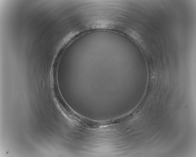 X0000066490678200603201257