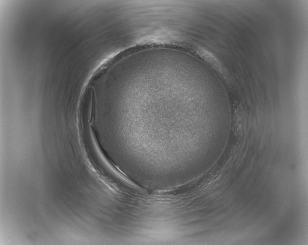 X0000066490680200603201257