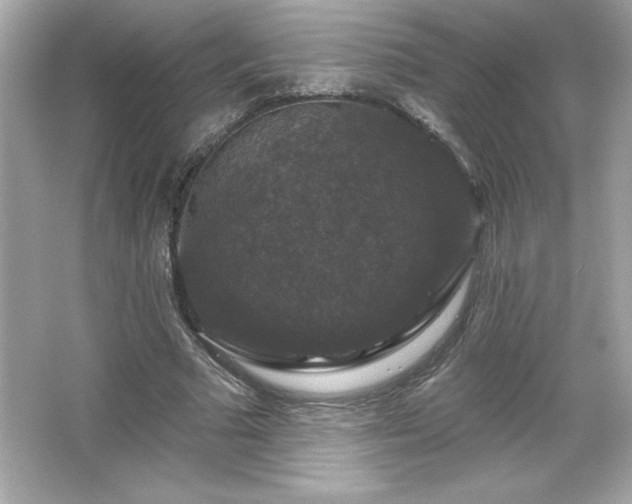 X0000066490681200603201257